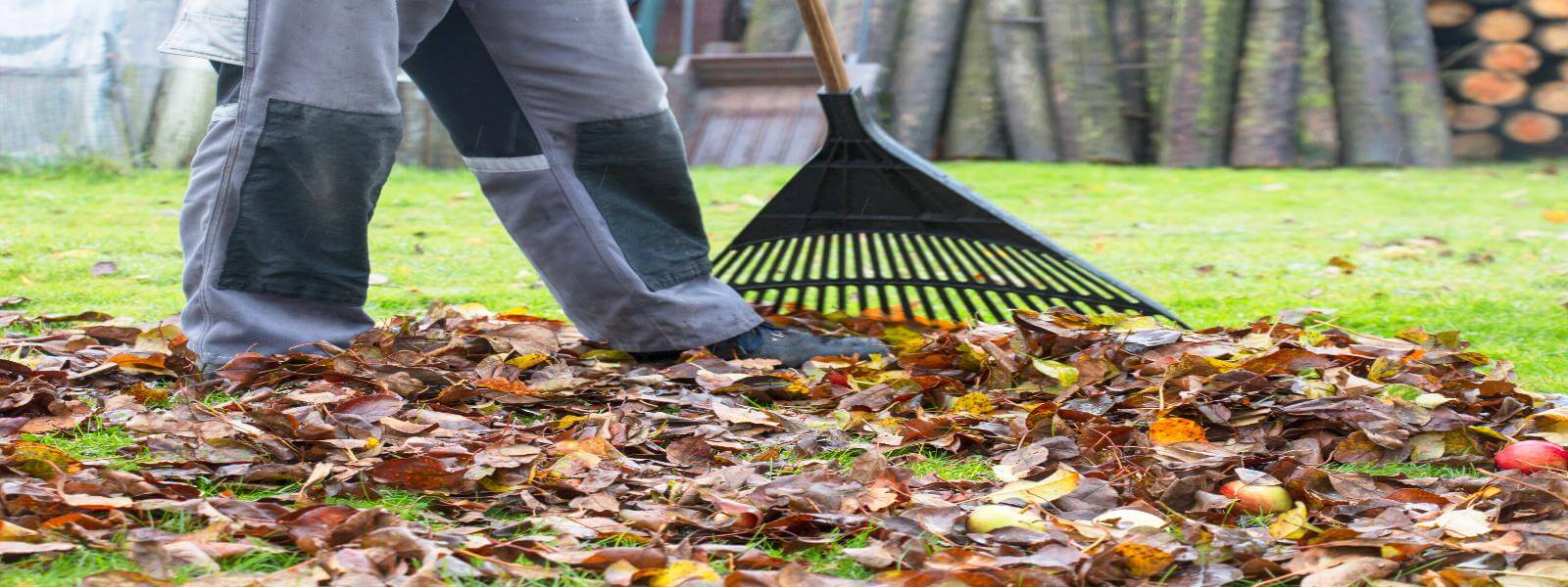 Garden Clearance Services